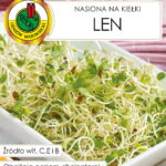 PNOS Nasiona na kiełki | Len | Opakowanie 10g