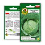 PNOS Nasiona warzyw | Kapusta Głowiasta Biała Roem Van Enkhuizen 2 | Opakowanie 2g - imagine 9