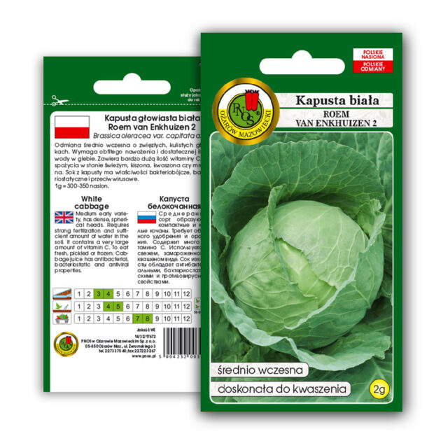 PNOS Nasiona warzyw | Kapusta Głowiasta Biała Roem Van Enkhuizen 2 | Opakowanie 2g - imagine 9