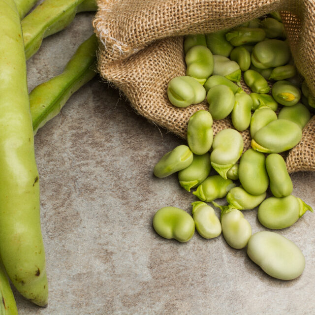 PNOS Nasiona warzyw | Bóg Dragon | Opakowanie 50g - imagine 6