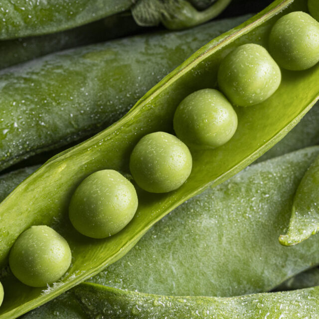 PNOS Nasiona warzyw | Groch Cukrowy Bajka | Opakowanie 50g - imagine 7