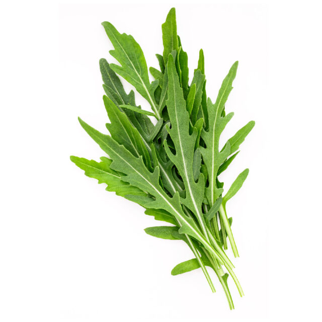 PNOS Nasiona na taśmie | Rucola Eruca Sativa | Taśma 6m - imagine 8