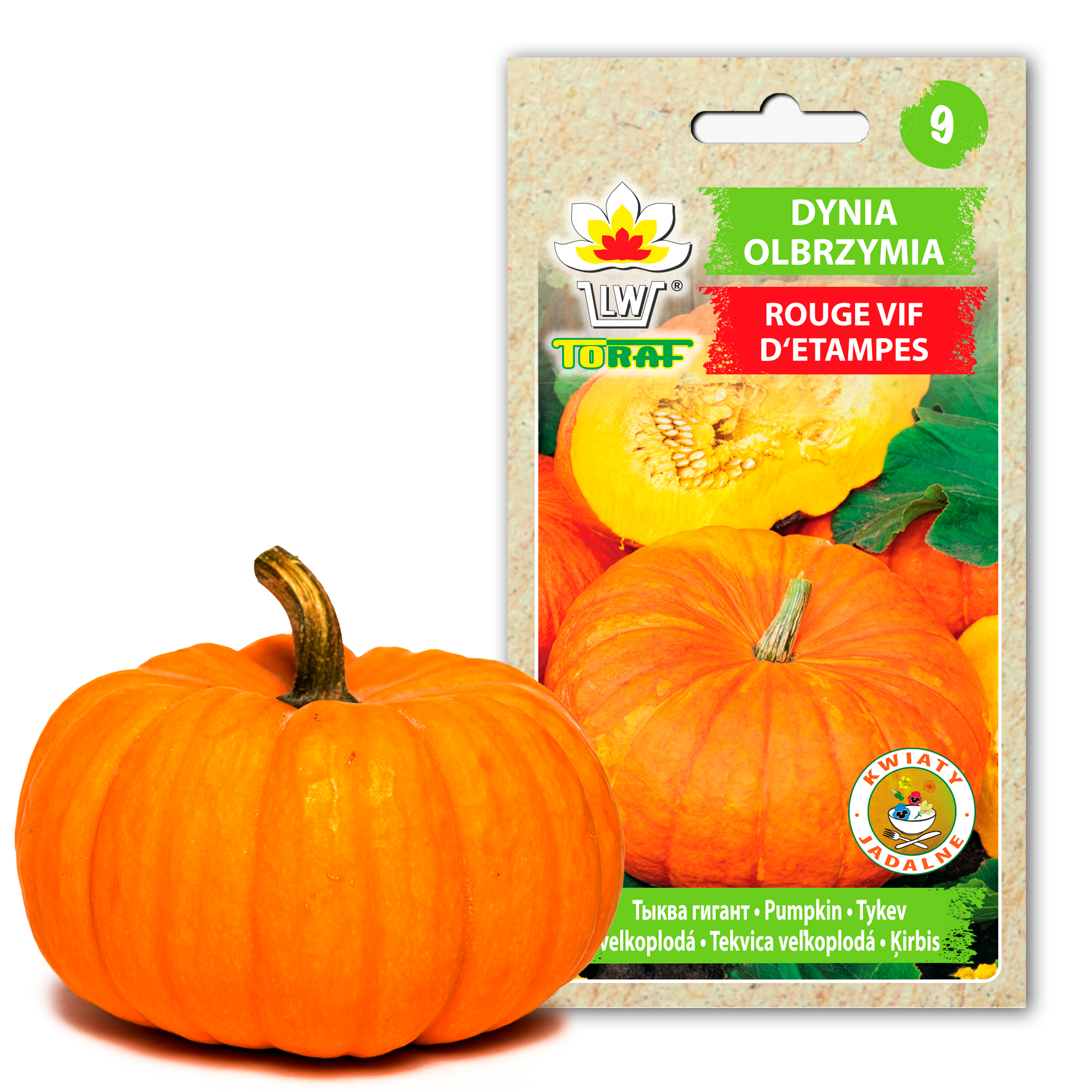 cps-fe48347c69aac747f290c590af4f7e79-2026-02-23-11-47-23 Toraf Nasiona warzyw | Dynia Olbrzymia Rouge Cif D'Etampes | Opakowanie 5g - imagine 1