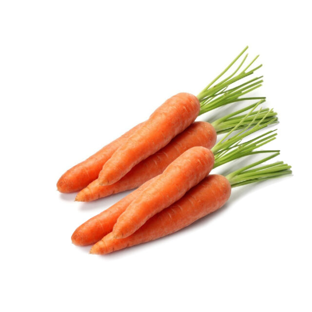 PNOS Nasiona na taśmie | Marchew Jadalna Lenka | Taśma 6m - imagine 4