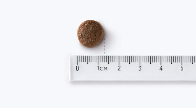 JOHN DOG Good Form Chicken with beef Medium and large breeds - dry dog food - 120g - imagine 2