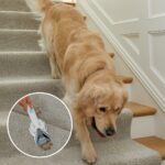 Shark PX200EUT carpet cleaning machine Handheld Deep/interim White - imagine 7