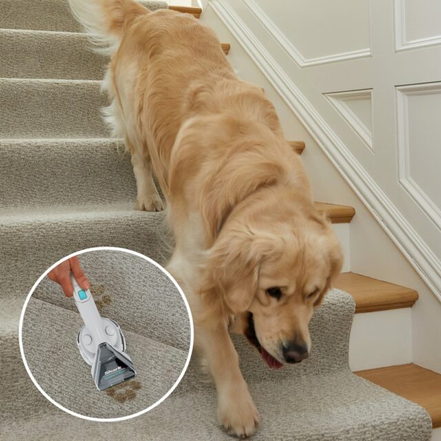 Shark PX200EUT carpet cleaning machine Handheld Deep/interim White - imagine 7