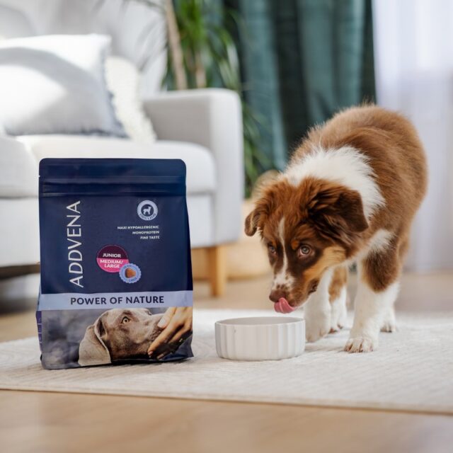 ADDVENA POWER OF NATURE Junior/Medium/Large  jagnięcina dla szczeniąt 2 5 kg - imagine 3