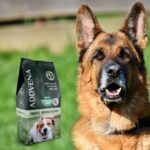 ADDVENA TASTE SENSATIONS dla dorosłych psów średnich i dużych ras 10kg - imagine 5