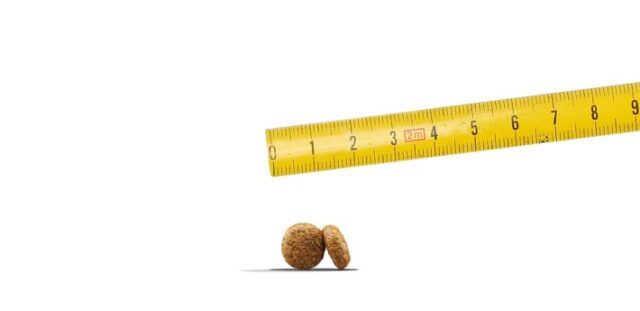 JOSERA Mini Salmon & Chicken - dry dog food - 10kg - imagine 4