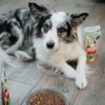 ANIMAL ISLAND indyk/wołowina saszetki dla psa 8x150g - imagine 3