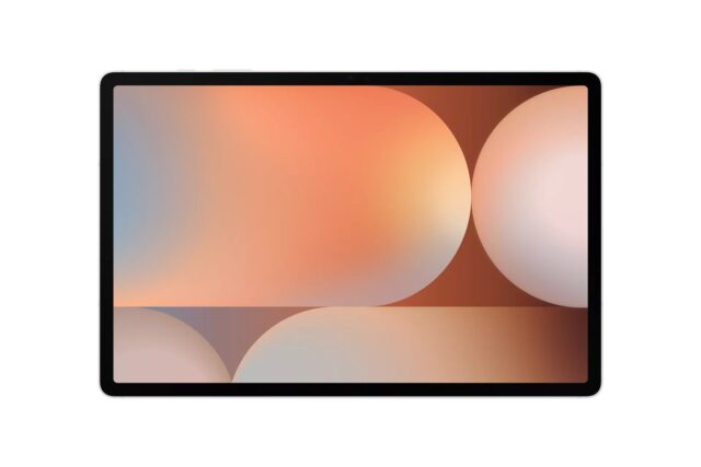 Samsung Galaxy Tab S10+ (12.4   5G) - imagine 10