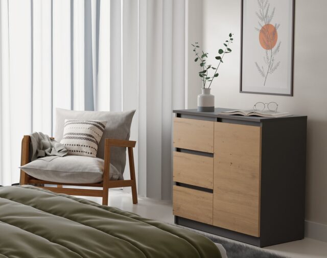 Topeshop 1D3S ANT/ART KPL chest of drawers - imagine 3