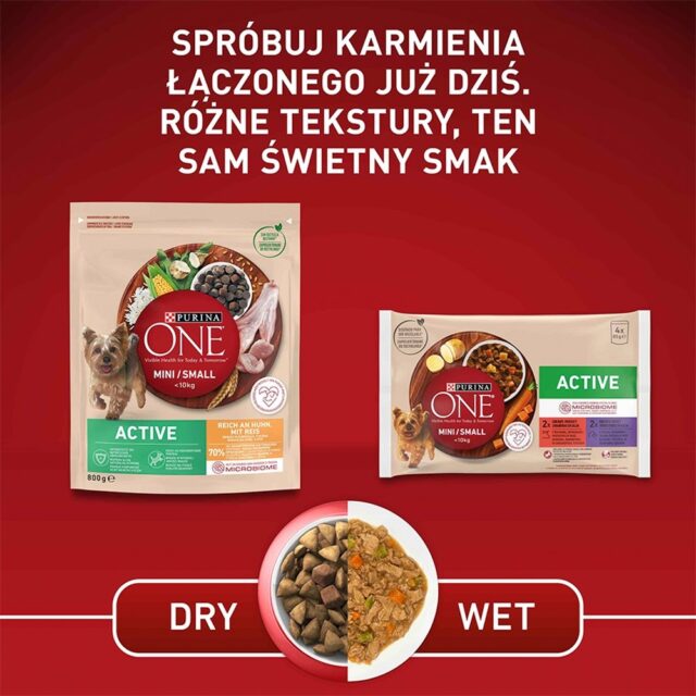 PURINA One Mini Active Chicken  Rice - Dry Dog Food - 800 g - imagine 5
