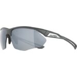 Alpina Nylos HR Sunglasses cat. 3 Grey - imagine 3