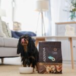 ADDVENA BOOSTED BY SUPERFOODS dla dorosłych psów małych ras 10kg - imagine 4