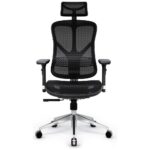 Ergonomic chair Diablo Chairs V-Basic black