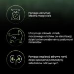 PURINA PRO PLAN LIVECLEAR STERILISED ADULT Bogata w Indyka 1 4kg - imagine 4