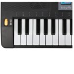 SUPRIMO 6109L - keyboard with microphone for learning to play  designed for children - imagine 4