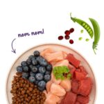 BOSCH Sanabelle Adult Ostrich & Blueberries - dry cat food - 2kg - imagine 4