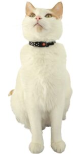 ZOLUX Obroża dla kota z zawieszką w kształcie kota CHATOUILLE niebieska - imagine 2