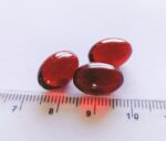 GAME DOG Krill Oil - supplements for dogs - 60 tablets - imagine 2