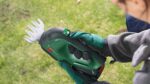 BOSCH. GRASS AND SHRUB SHEARS ADVANCED SHEAR 18V-10 1x2.0Ah - imagine 6