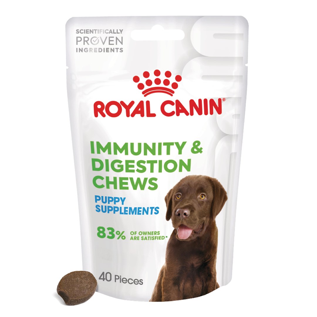 cps-29a79197ca47339eeeff1f68385cc627-2026-03-02-02-30-15 ROYAL CANIN Supplements Dog Immunity & Digest Puppy - dog vitamins - 100g - imagine 1
