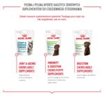 ROYAL CANIN Supplements Dog Skin & Coat Adult - dog vitamins - 240g - imagine 3