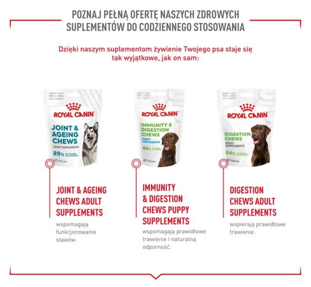 ROYAL CANIN Supplements Dog Skin & Coat Adult - dog vitamins - 240g - imagine 3