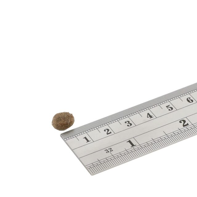 FISH4DOGS Finest Ocean White Fish Small breeds - dry dog food - 1 5kg - imagine 3