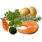 SHELMA Sterilised Salmon - dry cat food - 8kg - imagine 4