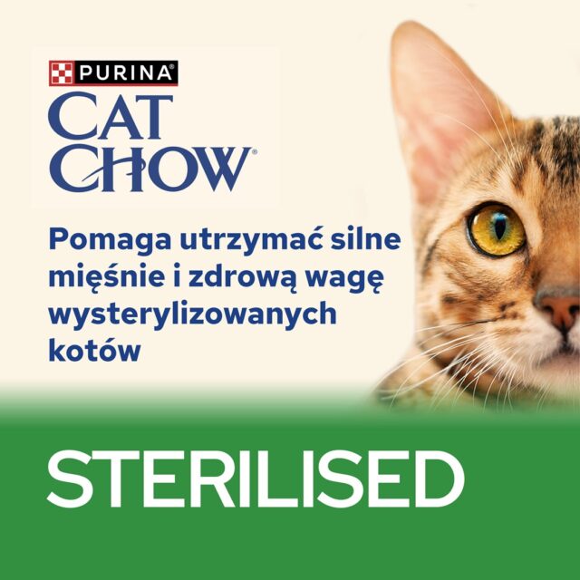 CAT CHOW STERILISED GiG Lamb Green Beans in sauce 85g - imagine 8