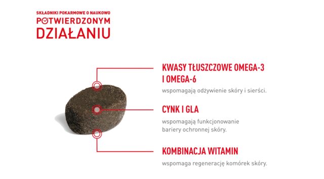 ROYAL CANIN Supplements Dog Skin & Coat Adult - dog vitamins - 240g - imagine 8