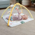 Fisher-Price Simply Senses Newborn Gym Baby Activity Mat with 6 Sensory Toys - imagine 2