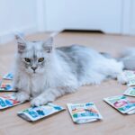 ANIMAL ISLAND wołowina/kurczak/indyk/ryba mix smaków 80x85g - imagine 2