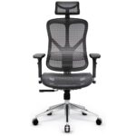 Ergonomic chair Diablo Chairs V-Basic black-gray