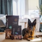 ADDVENA BOOSTED BY SUPERFOODS dla dorosłych psów średnich i dużych ras 2 5kg - imagine 4
