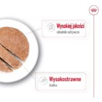 ROYAL CANIN SHN Maxi Adult Loaf Can 410g - imagine 3