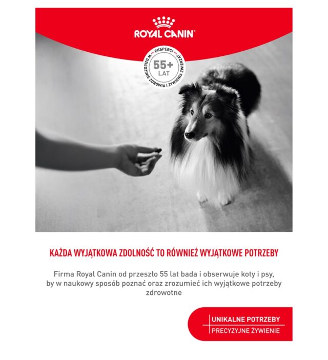 ROYAL CANIN Supplements Dog Skin & Coat Adult - dog vitamins - 240g - imagine 2
