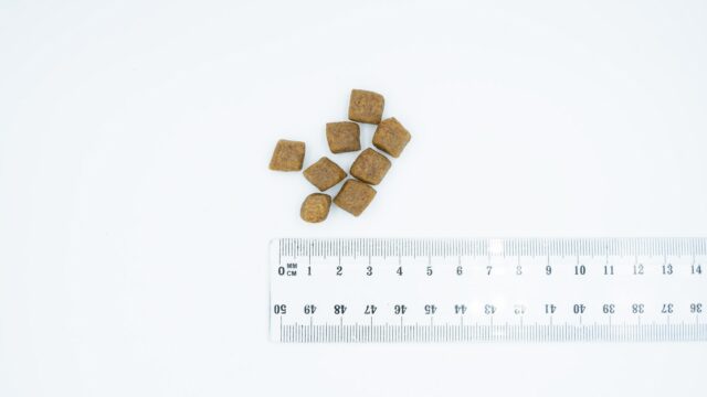 BULT Salmon with trout - dry dog food - 12kg - imagine 2