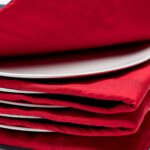 SOLIS Disc Heater Turbo Heat red/grey - imagine 2