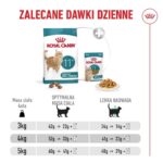 ROYAL CANIN Ageing 11+ - dry cat food - 400g - imagine 3