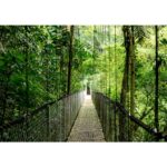 HP EliteBook 6 G1a Next Gen AI PC Copilot+ PC AMD Ryzen AI 5 340 Laptop 35.6 cm (14 ) WUXGA 16 GB DDR5-SDRAM 512 GB SSD Wi-Fi 6E (802.11ax) Windows 11 Pro Silver - imagine 10