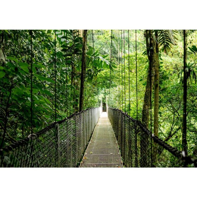 HP EliteBook 6 G1a Next Gen AI PC Copilot+ PC AMD Ryzen AI 5 340 Laptop 35.6 cm (14 ) WUXGA 16 GB DDR5-SDRAM 512 GB SSD Wi-Fi 6E (802.11ax) Windows 11 Pro Silver - imagine 10