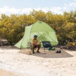 Namiot rowerowy SEA TO SUMMIT Telos Evo Bikepack Tarragon - imagine 3