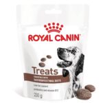 ROYAL CANIN Dog Gastrointestinal Treats - dog treat - 230g