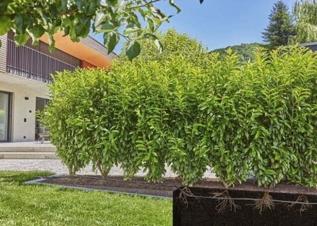 DRIP IRRIGATION KIT SET 50 M - imagine 3