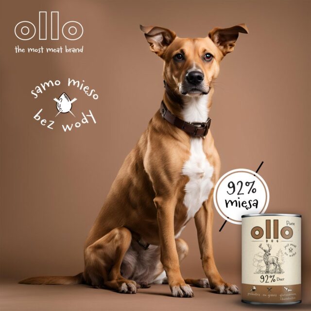OLLO Pure Deer – wet dog food – 850 g - imagine 3