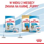 ROYAL CANIN SHN Mini Starter Mother & Babydog - dry dog food - 4 kg - imagine 4